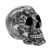 Soul 19cm Skulls Last Chance to Buy