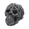 Hell's Desire 18cm Skulls Last Chance to Buy