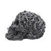Hell's Desire 18cm Skulls Last Chance to Buy
