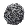Hell's Desire 18cm Skulls Last Chance to Buy