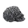 Hell's Desire 18cm Skulls Last Chance to Buy