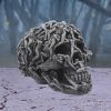 Hell's Desire 18cm Skulls Last Chance to Buy