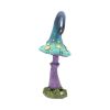 Foolish Fizzy Whizz 24cm Unspecified Last Chance to Buy