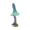 Foolish Fizzy Whizz 24cm Unspecified Last Chance to Buy