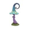Foolish Fizzy Whizz 24cm Unspecified Last Chance to Buy
