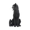 Salem 32.5cm Cats Every Day Is Halloween