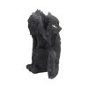 Spite 25.5cm Cats Top 200 None Licensed