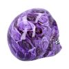 Purple Romance 18cm Skulls Last Chance to Buy