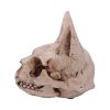 Bastet's Secret 15cm Animal Skulls Last Chance to Buy