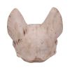 Bastet's Secret 15cm Animal Skulls Last Chance to Buy