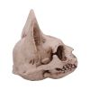 Bastet's Secret 15cm Animal Skulls Last Chance to Buy