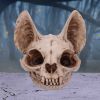 Bastet's Secret 15cm Animal Skulls Last Chance to Buy