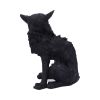 Salem (Small) 19.6cm Cats Halloween RRP Above 20