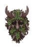 Bryn 20.8cm Tree Spirits Last Chance to Buy