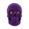 Jewelled Gaze 18.7cm Skulls Out Of Stock