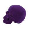 Jewelled Gaze 18.7cm Skulls Out Of Stock