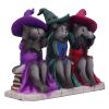 Three Wise Witchy Kittys 15.3cm Cats Sale Items