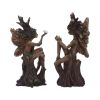 Woodland Beauty (set of 2) 15.5cm Fairies Last Chance to Buy