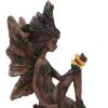 Woodland Beauty (set of 2) 15.5cm Fairies Last Chance to Buy