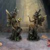 Woodland Beauty (set of 2) 15.5cm Fairies Last Chance to Buy