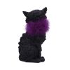 Furgus 19.5cm Cats Sale Items