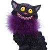 Furgus 19.5cm Cats Sale Items