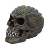 Reptillian 17cm Skulls Last Chance to Buy