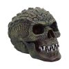 Reptillian 17cm Skulls Last Chance to Buy