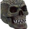 Reptillian 17cm Skulls Last Chance to Buy