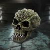 Reptillian 17cm Skulls Last Chance to Buy