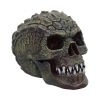 Reptillian 17cm Skulls Last Chance to Buy