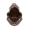 Tyrannosaurus Rex Dish 24cm Dinosaurs Last Chance to Buy