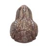 Tyrannosaurus Rex Dish 24cm Dinosaurs Last Chance to Buy
