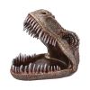 Tyrannosaurus Rex Dish 24cm Dinosaurs Last Chance to Buy