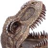 Tyrannosaurus Rex Dish 24cm Dinosaurs Last Chance to Buy