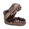 Tyrannosaurus Rex Dish 24cm Dinosaurs Last Chance to Buy