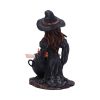 Althea 16cm Witches Last Chance to Buy