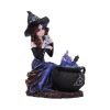 Alvina 16cm Witches Last Chance to Buy