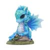 Blue Poppy Flower Dragon 11cm Dragons Last Chance to Buy