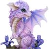 Iris Flower Dragon 12cm Dragons Last Chance to Buy