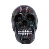 Electro 17.5cm Skulls Stock Release Summer 2025