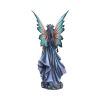 Warden of the Night Sky Fairies Last Chance to Buy