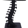 Vertebrae Lamp Skeletons Gifts Under £100