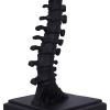 Vertebrae Lamp Skeletons Gifts Under £100