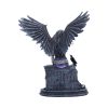 Ravynne 31.5cm Fairies Stock Arrivals