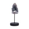 Tyrannosaurus Rex Skull on Plinth Dinosaurs Halloween Party