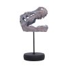 Tyrannosaurus Rex Skull on Plinth Dinosaurs Halloween Party