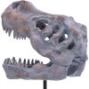 Tyrannosaurus Rex Skull on Plinth Dinosaurs Halloween Party