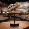 Tyrannosaurus Rex Skull on Plinth Dinosaurs Halloween Party