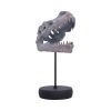 Tyrannosaurus Rex Skull on Plinth Dinosaurs Halloween Party